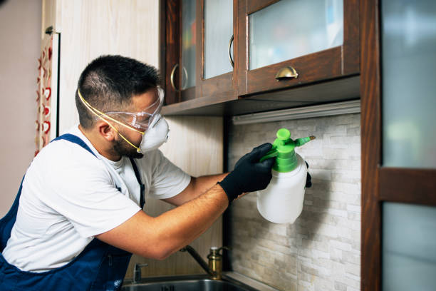 Best Pest Inspection Near Me  in Lebanon, IN