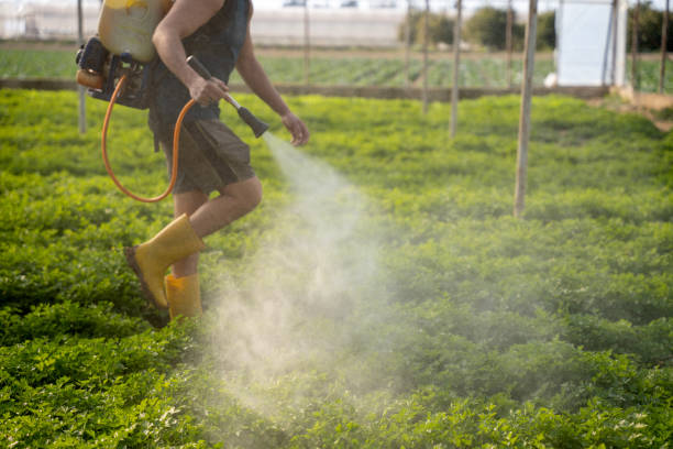 Reliable Lebanon, IN Pest Control Solutions