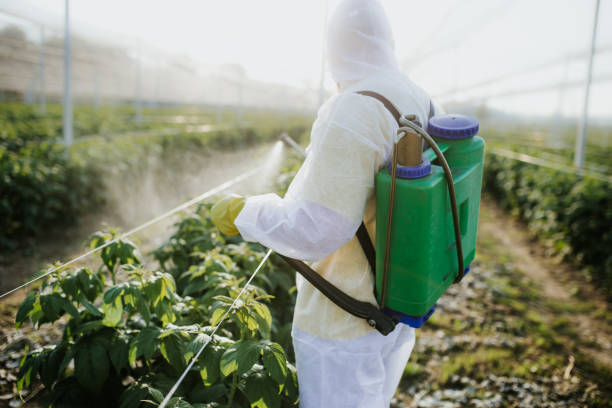 Best Best Pest Control Companies  in Lebanon, IN